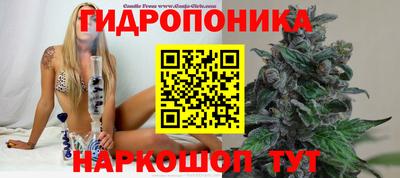 марки nbome Новодвинск