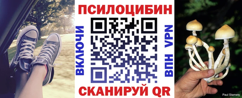 mega вход  Янаул  Псилоцибиновые грибы мицелий 
