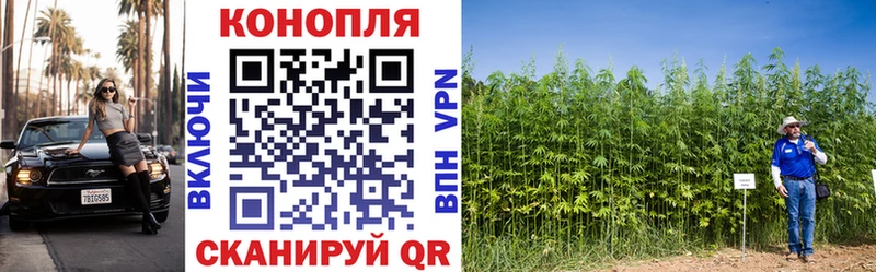 магазин продажи   Янаул  МАРИХУАНА SATIVA & INDICA 